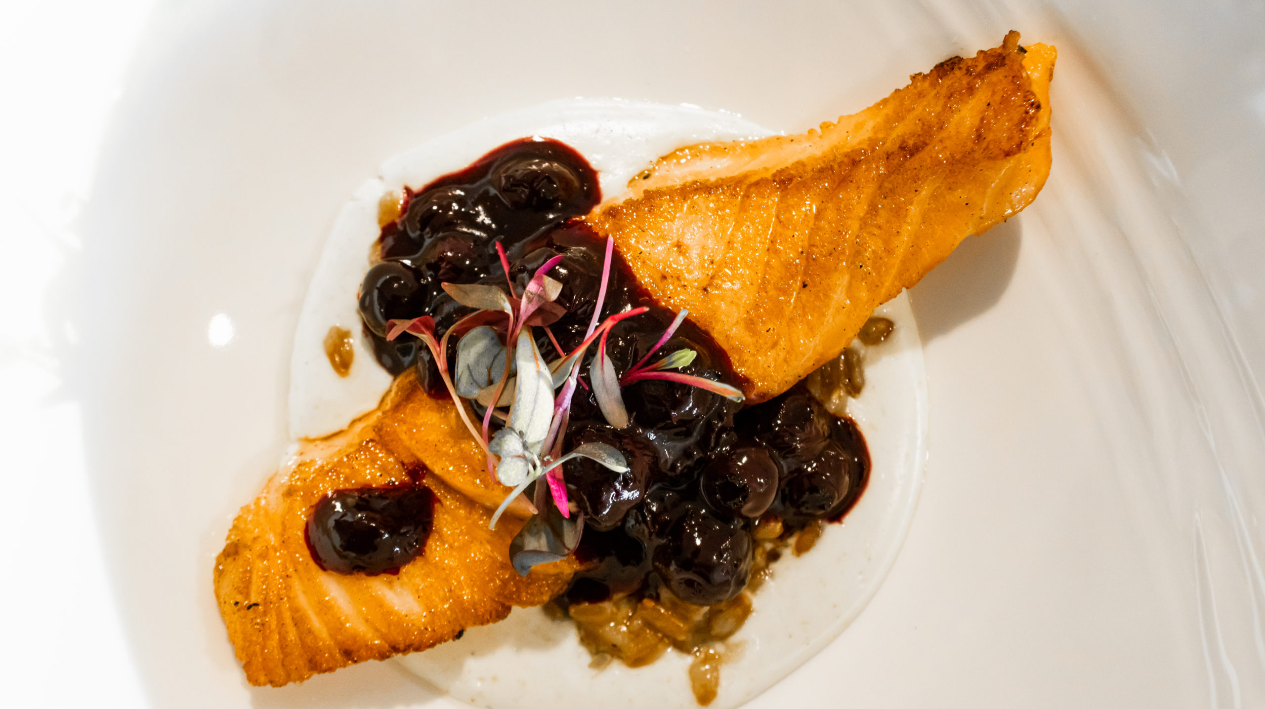 Pickled Blueberry Compote on Loch Duart Salmon
