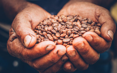 The Latest “Farm to Table” Trend: Coffee